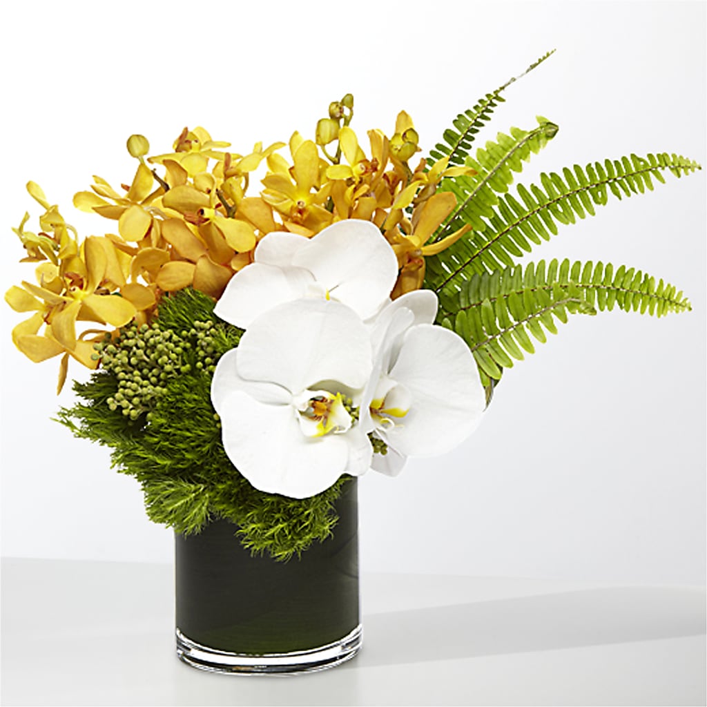 The Tropics – JAN'S FLOWER BOUTIQUE, Thibodaux LA