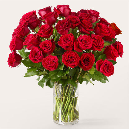 The One Red Rose Bouquet – JAN'S FLOWER BOUTIQUE, Thibodaux LA